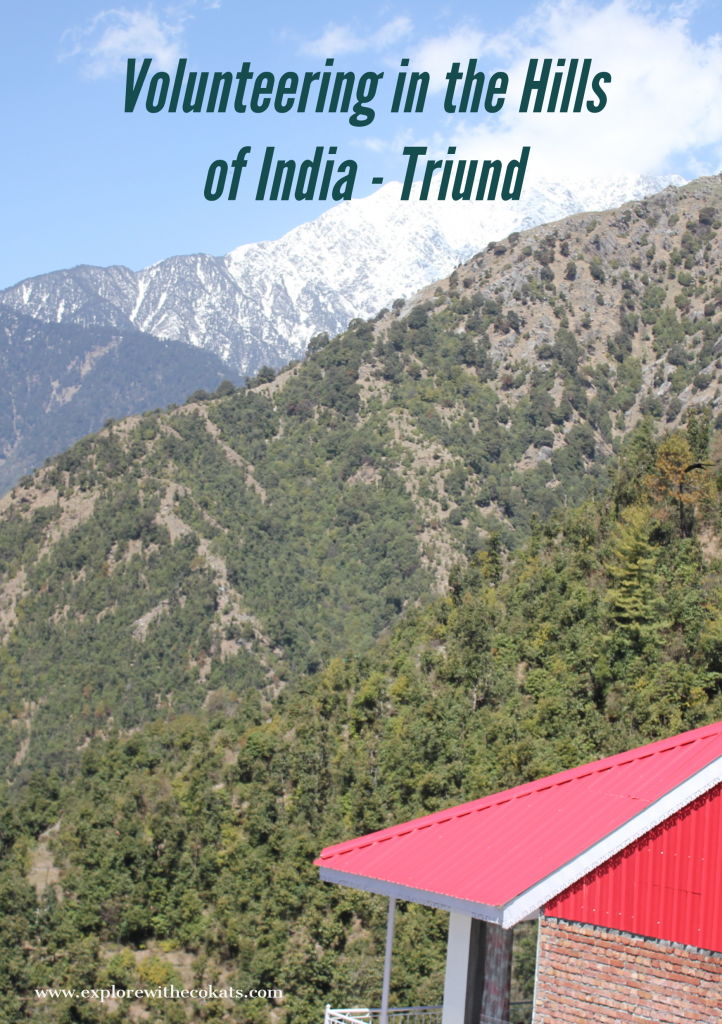 Volunteering in Triund #Volunteeringinindia #Himachalpradesh #triundtrek