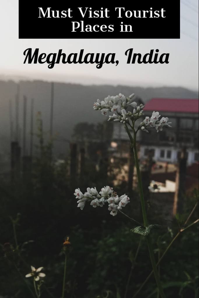 Tourist places to visit in Meghalaya #northeastindia #sevensisters #northeasttoursim
