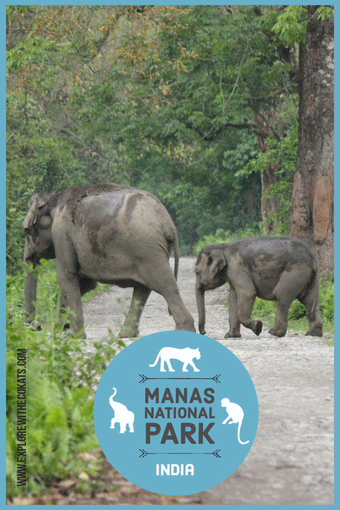 Manas National Park #wildlifeofindia #northeastindia #assamtourism