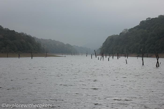 Periyar National Park Boat Safari