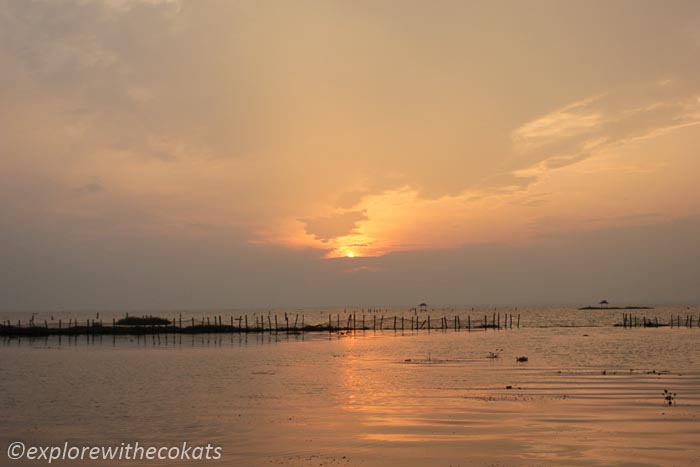Sunset on Vembanad lake, Kumarakom | Perfect stop for Road trip in Kerala