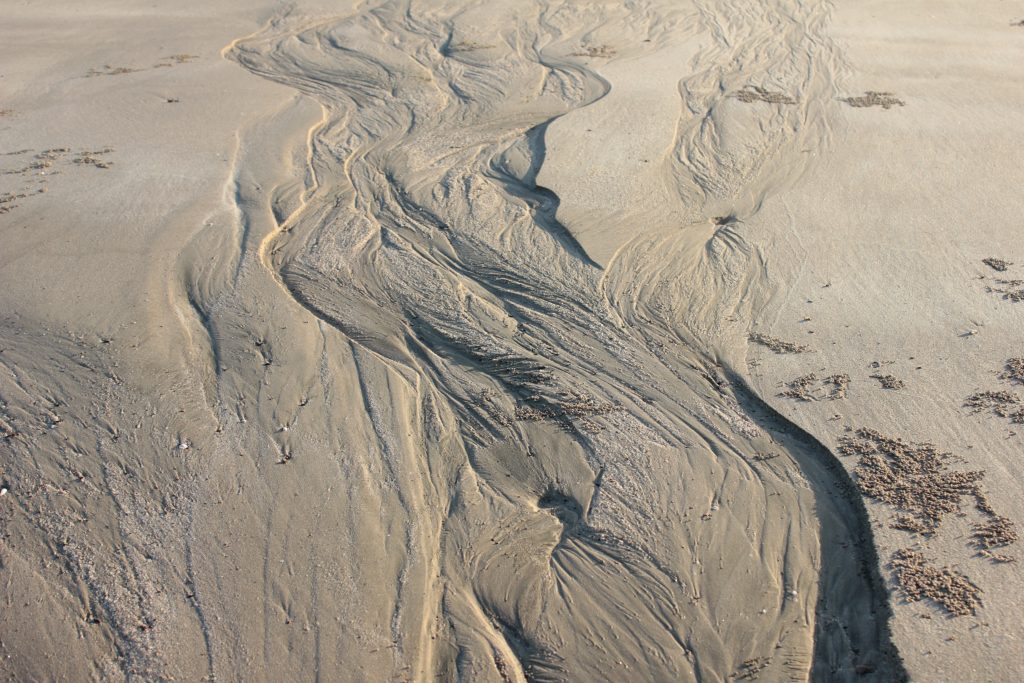 Formations in sand at Mandvi Gujarat