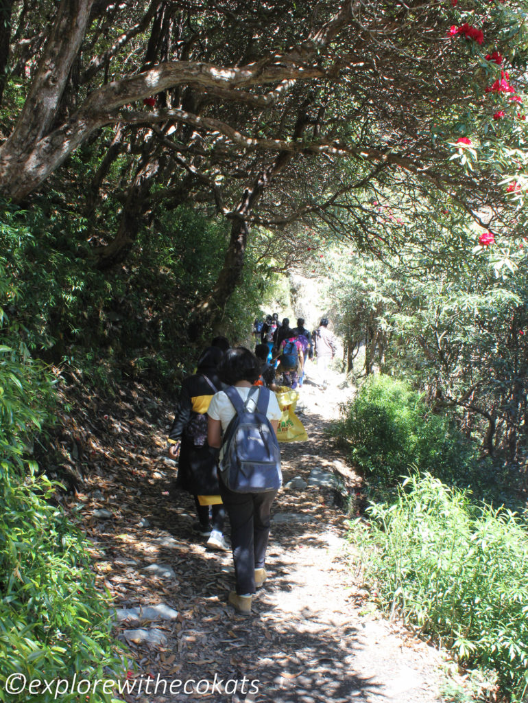 Volunteering at Triund