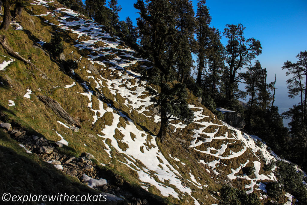 Volunteering at Triund