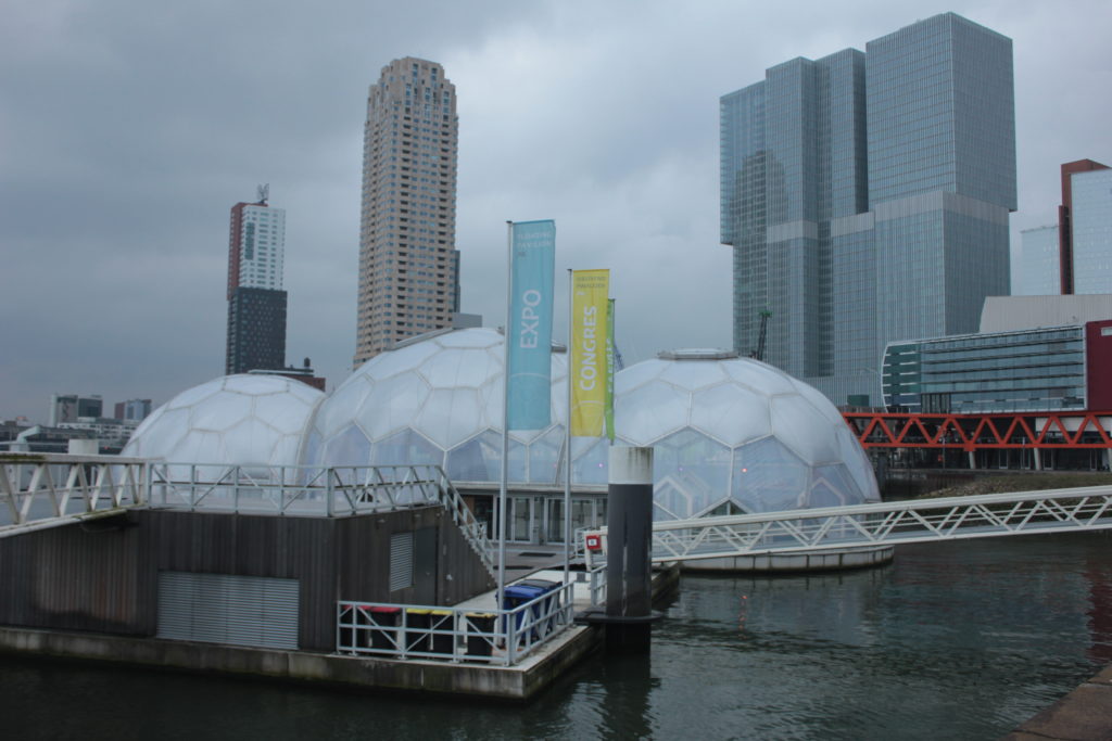 Floating pavilions of Rotterdam | Architecture in Rotterdam
