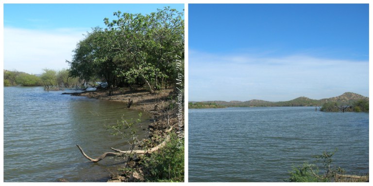 Gir National Park