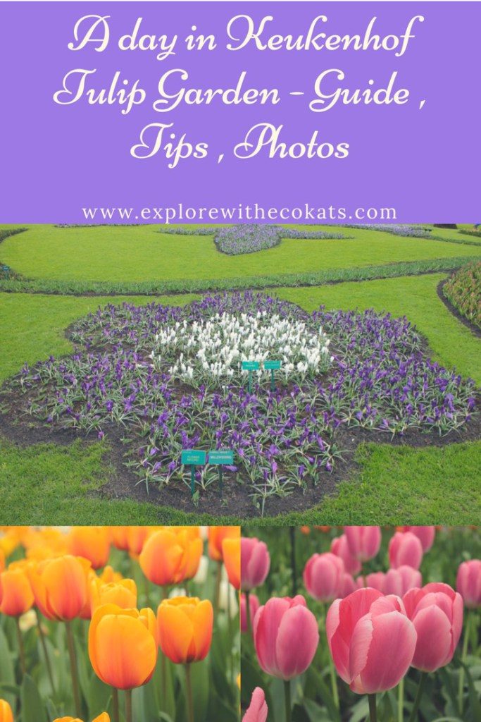 Keukenhof Tulip garden guide