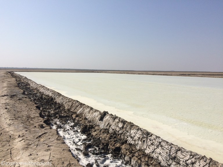 Salt pans of Little rann of kutch