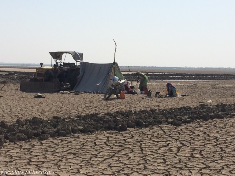 Salt pans of Little rann of kutch