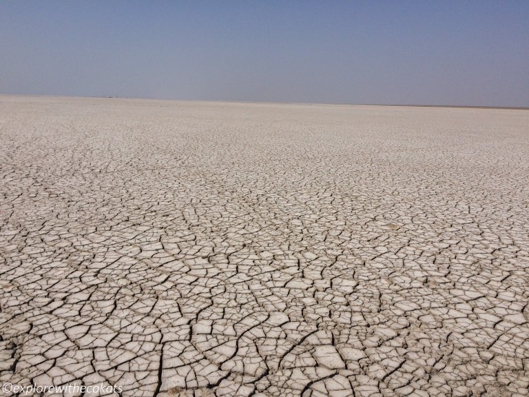 Salt pans of Little rann of kutch