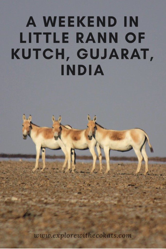 #Littlerannofkutch #LRK #Gujarat