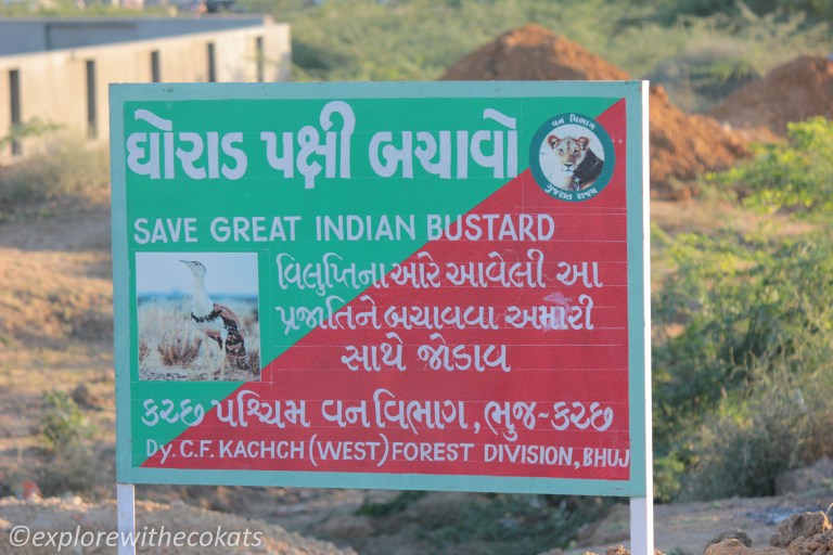 Kutch Bustard Sanctuary