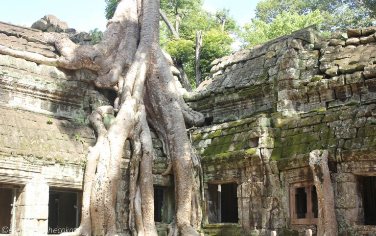 Angkor Wat