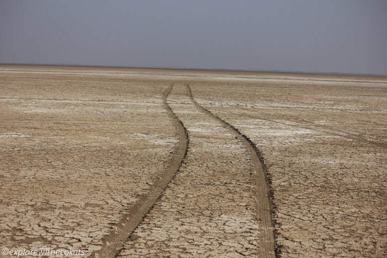 Salt pans of Little rann of kutch