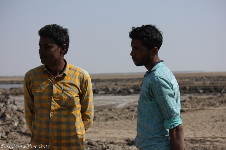 Salt pans of Little rann of kutch