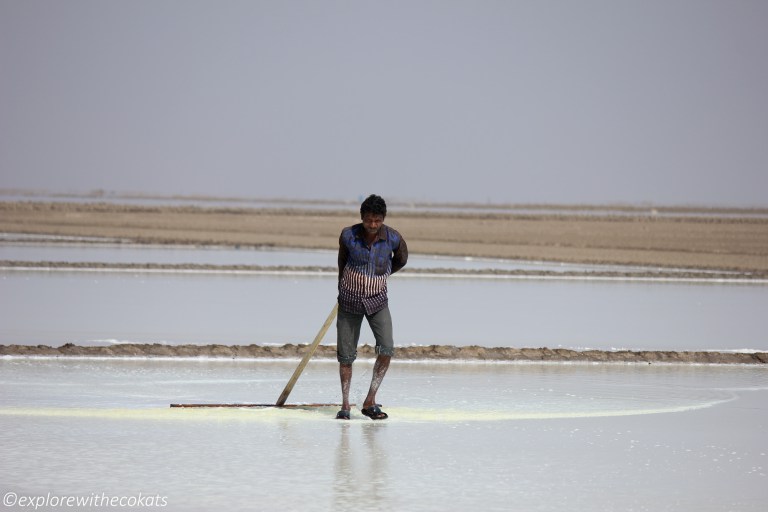 Agariyas working in the salt pans of Little rann of kutch