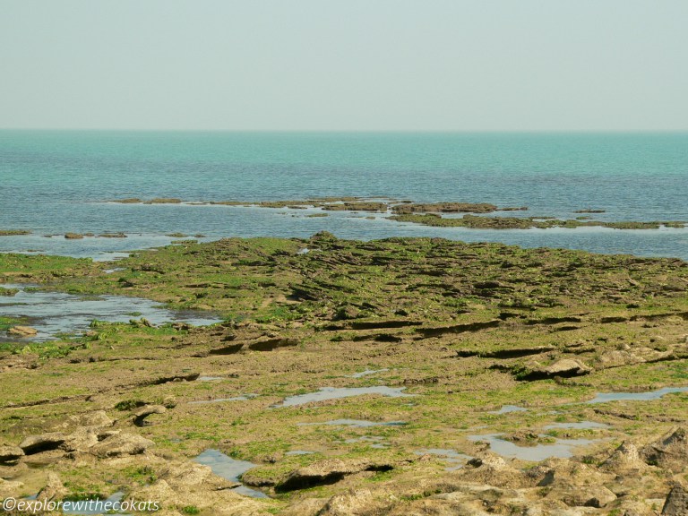 Beyt Dwarka | Narara National park