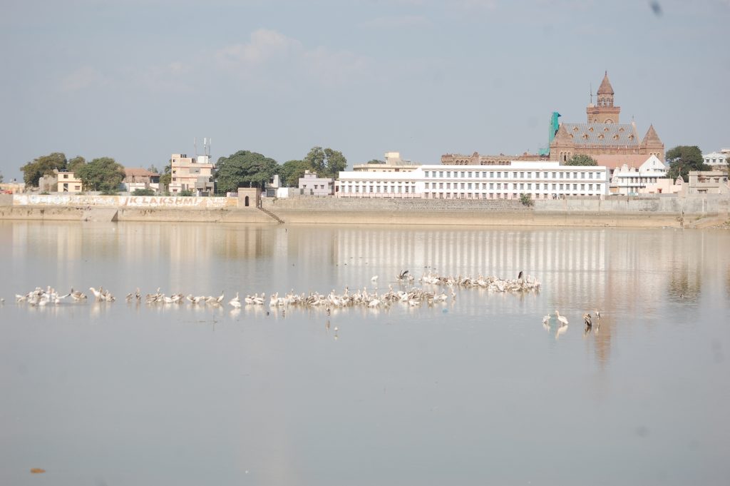 Hamirsar lake, Buj