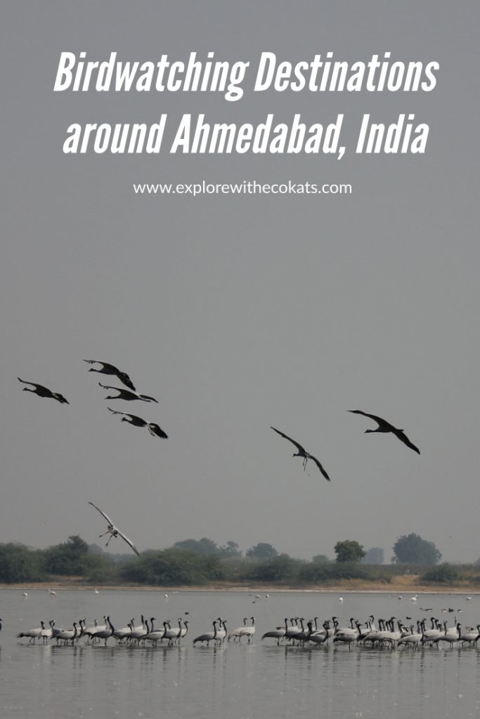 Birdwatching destinations around Ahmedabad