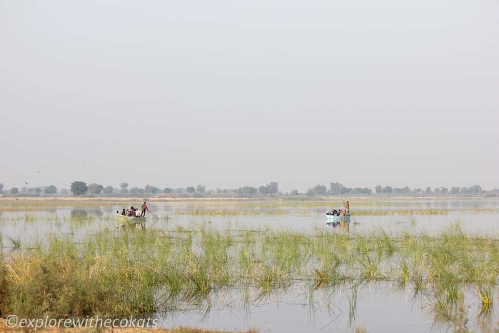 Nalsarovar lake - One day trip from Ahmedabad