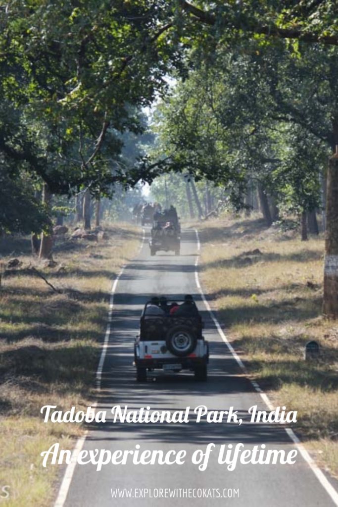 tadoba national park nearest tourist places