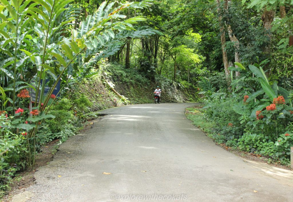 The road leading to Kuang Si falls