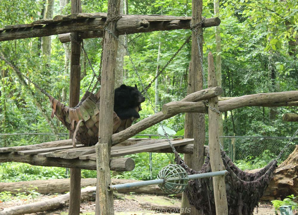 Kuang Si Bear Rescue centre