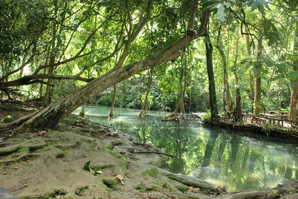 Top of Kuang si waterfalls