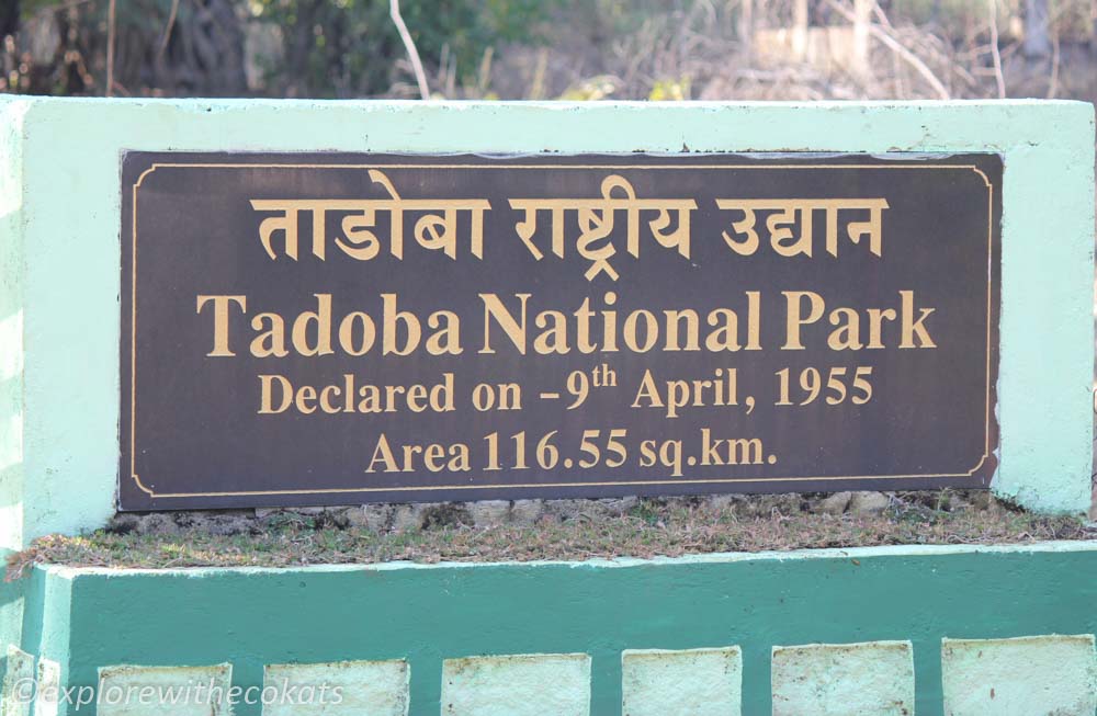 Tadoba National Park