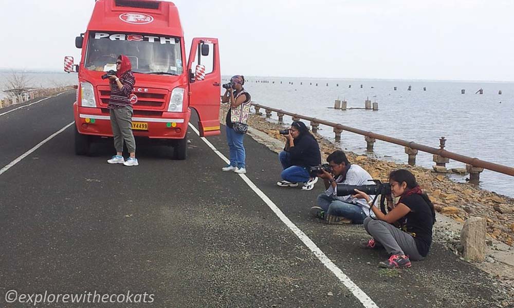 A team of photographers capturing the flamingos