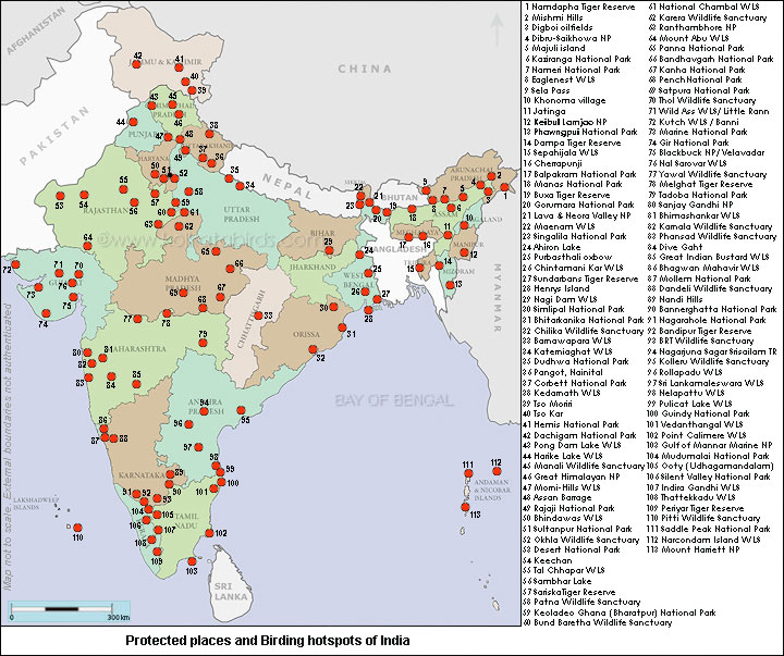 Options to vacation in Indian jungles