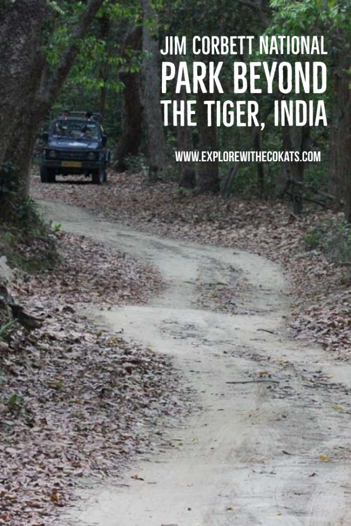 Jim Corbett National Park #uttarakhand #wiildlifeofindia #ecotourism #sustainabletourism #corbettnationalpark