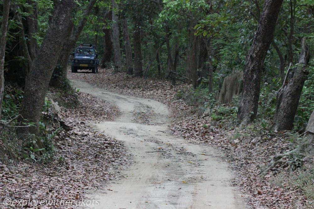 A road in Bijrani zone