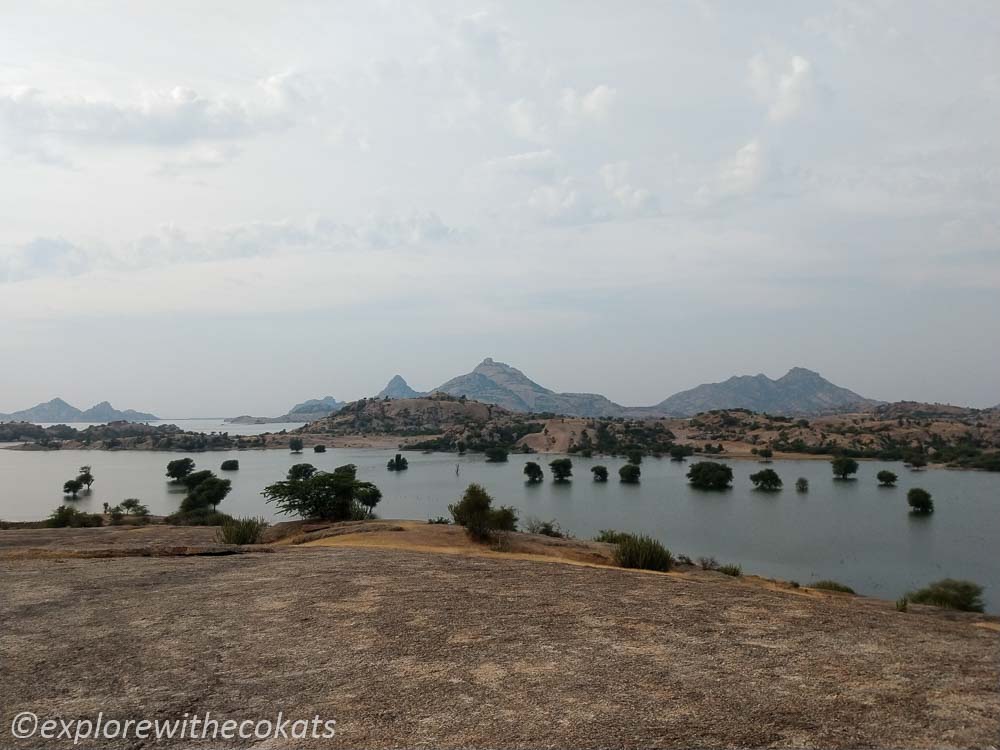 Backwaters of Jawai dam