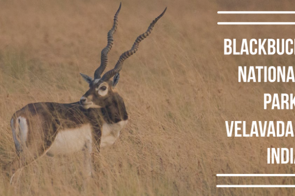 11 Unmissable Places to Visit in Bhopal - Explore with Ecokats