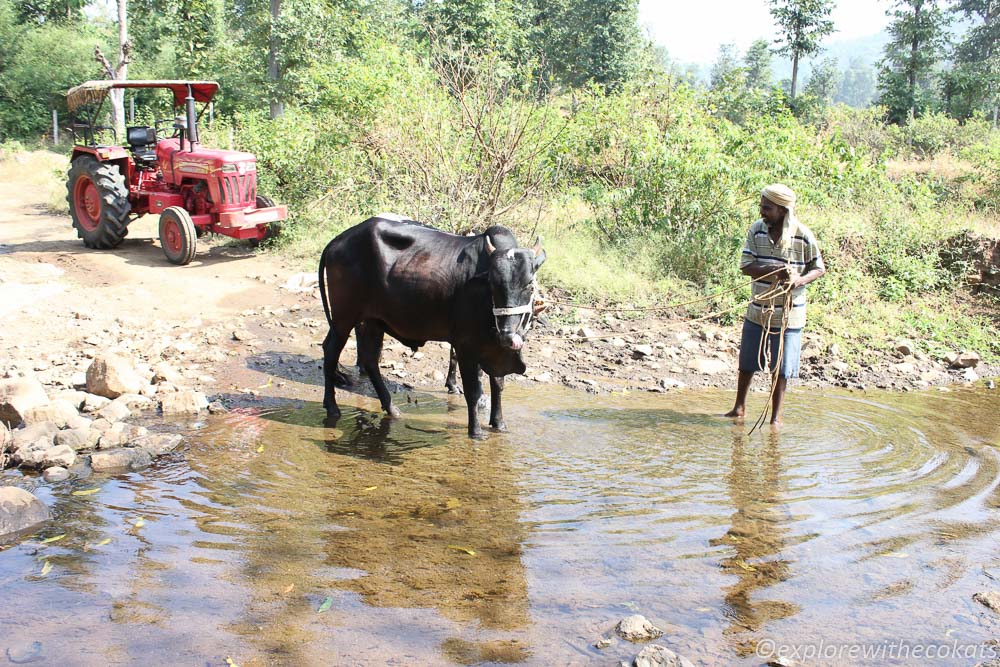 A typical rural scene