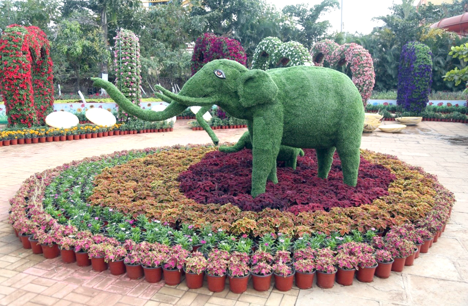 Nashik flower show