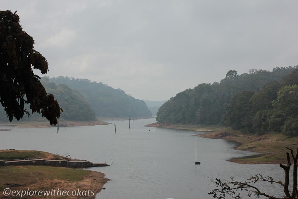 Periyar river, Thekkady