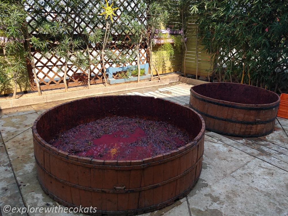 Wine stomping - Is Sula Vineyard worth the visit