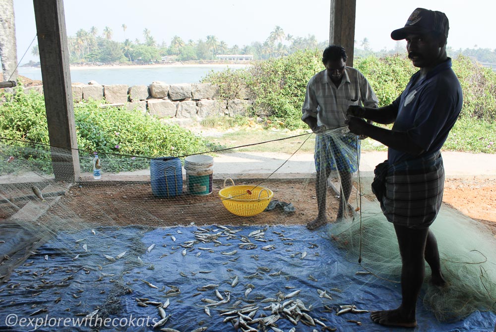 Human by nature: Talking to Kerala fishermen