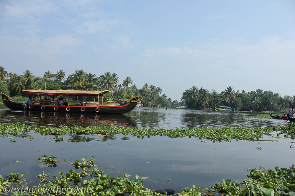 Human by nature: Backwaters of alleppey