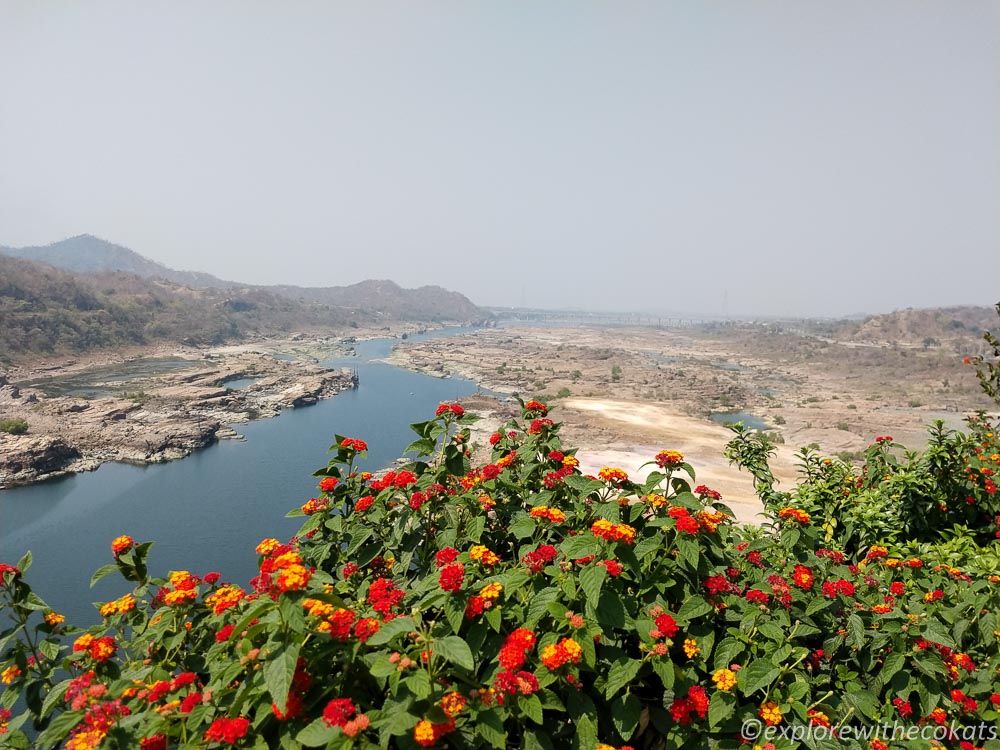 Narmada as seen from Statue of Unity