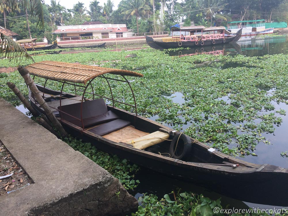 My personal canoe ride on the backwaters