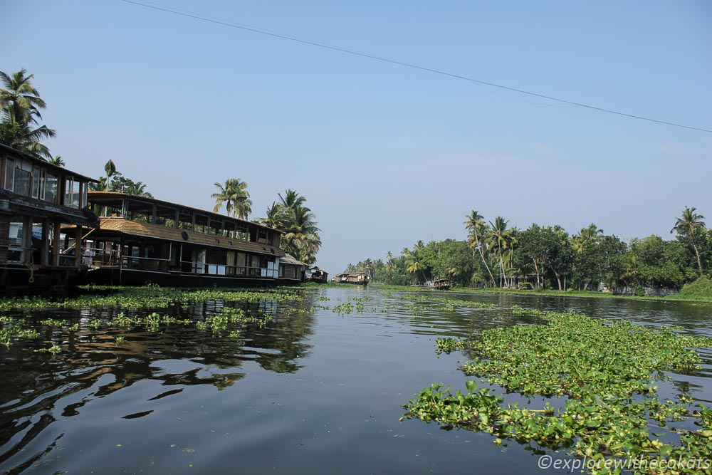 Backwaters are omnipresent in entire state of Kerala