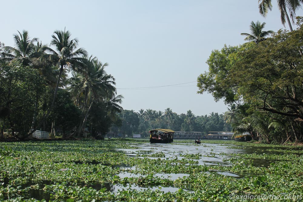 The alluring backwaters