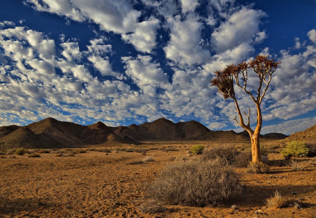 Landscape in Africa during a wildlife safari