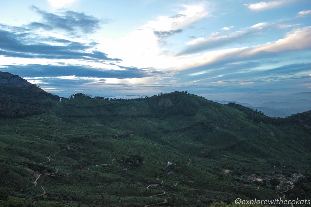 The view from my resort, Munnar