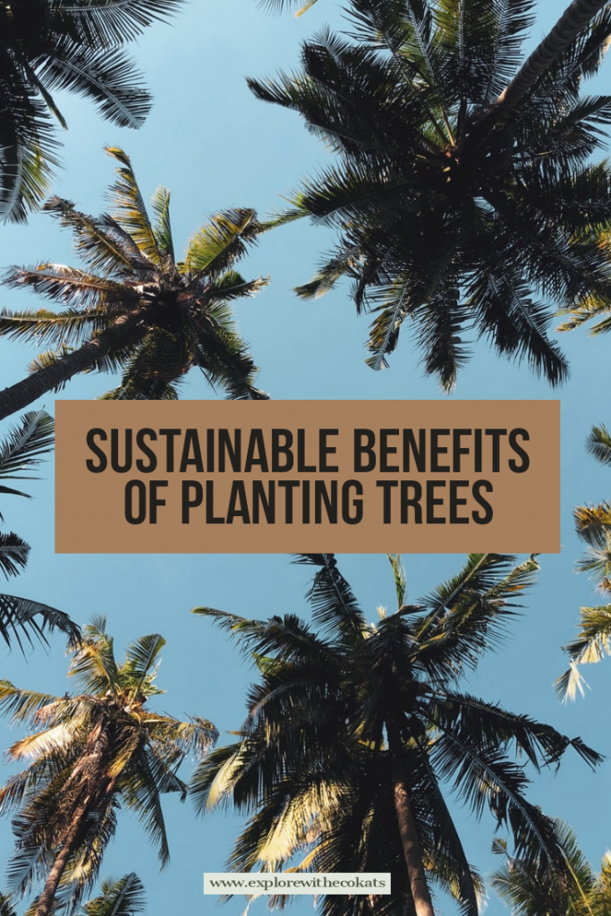 Sustainable benefits of planting trees