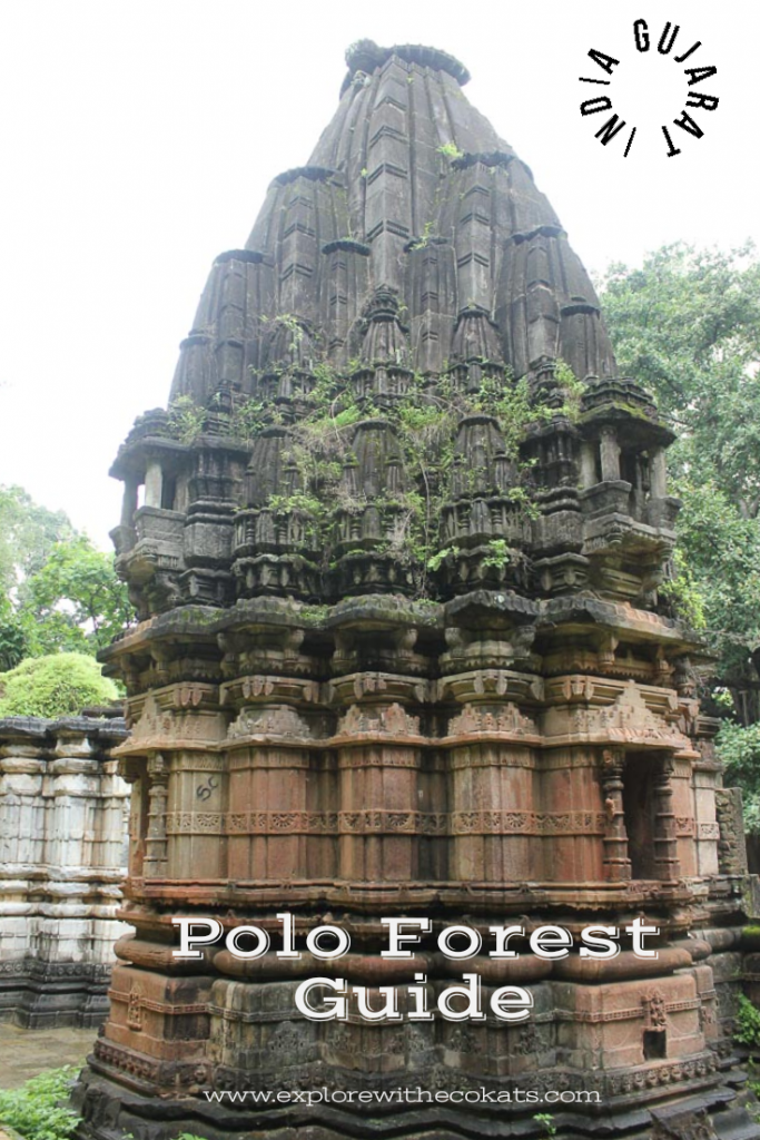 Polo Forest Guide, Gujarat