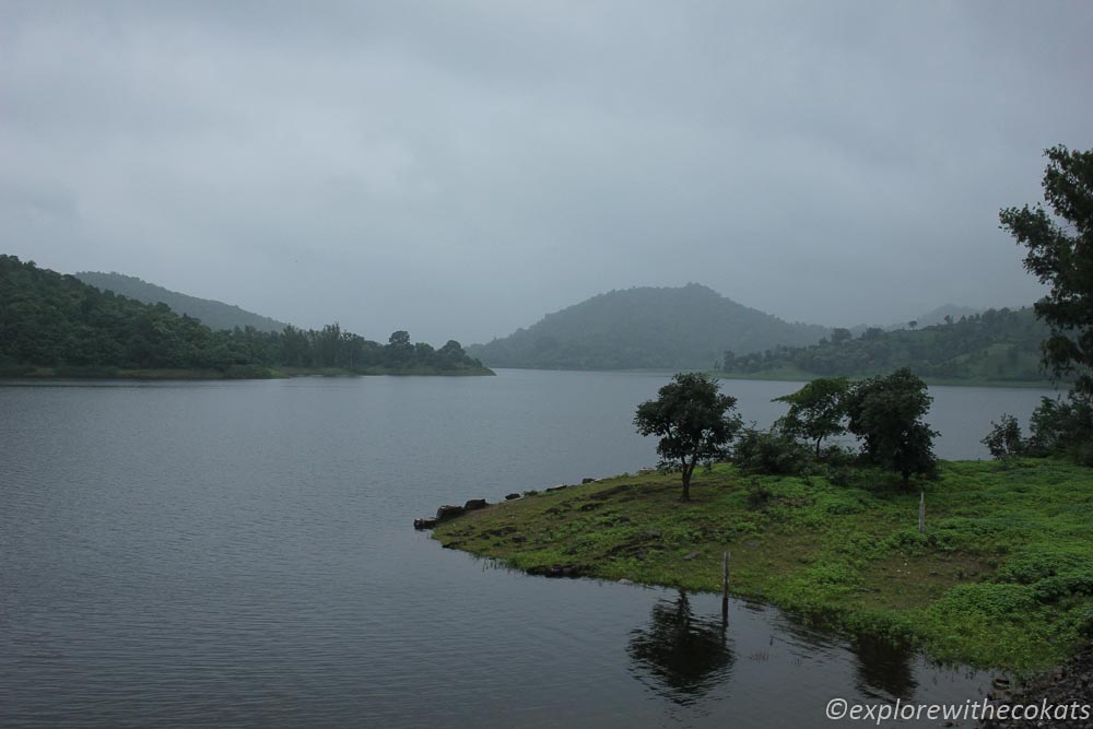 Vanaj Dam, Harnav Dam Polo Forest
